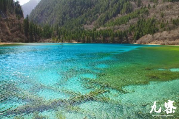 浙江温州一小区发生物品爆炸、1名保安被炸伤，警方通报