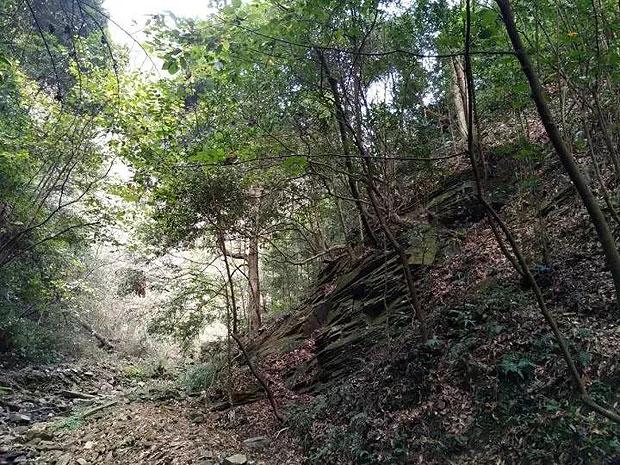 轩辕剑龙舞云山