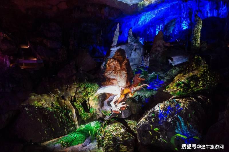 你知道最辣的辣椒什么样吗?-有问必答平台