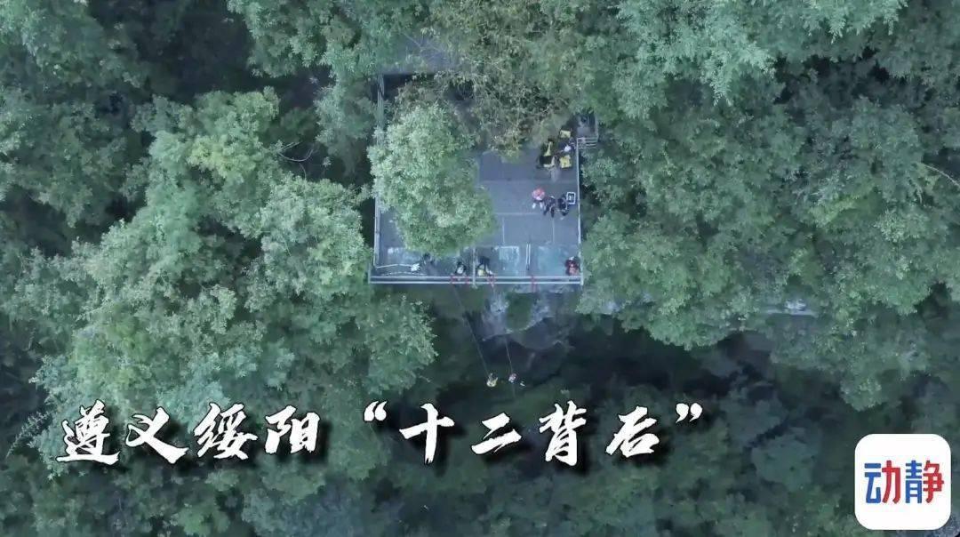 【聚焦2024甘肃两会】省政协委员孟宪刚:建设甘肃生物医药“雨林生态”系统 协同发展要效益