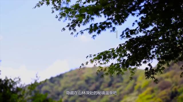 最美的校园女生76