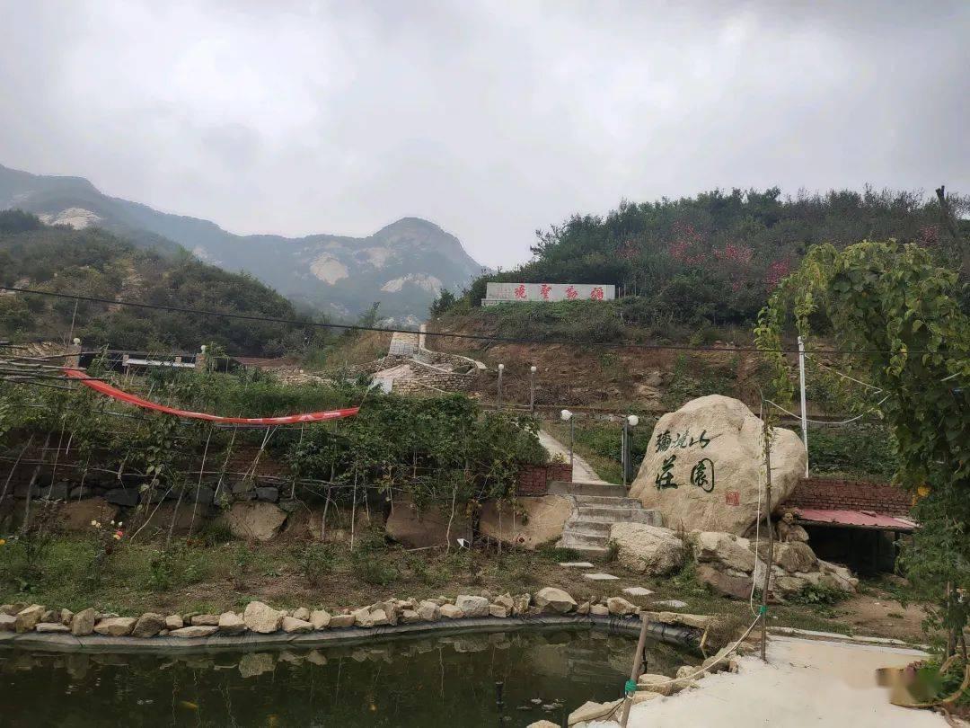环世界