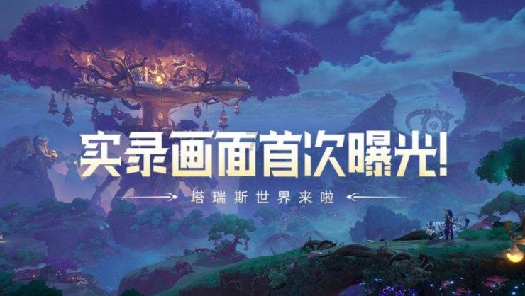 揭秘包子界网红“蟹黄汤包”满满的蟹肉蟹黄，一颗20块到底值不值