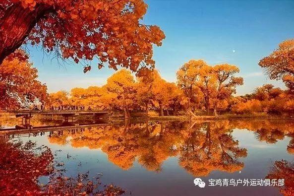 运货车翻翻看