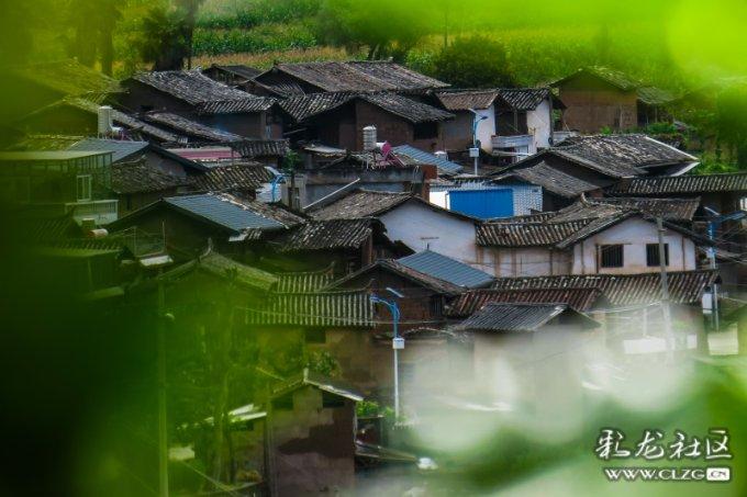 博兴农商银行纯化支行开展“赶大集 迎新年”腊八节志愿服务活动