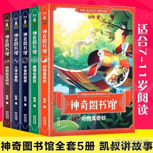 小汪汪