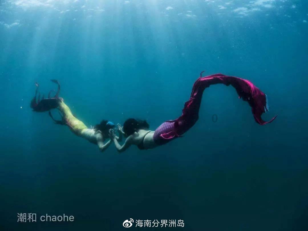 大唐皇后之位一直悬了十八年,沈珍珠真的存在过?