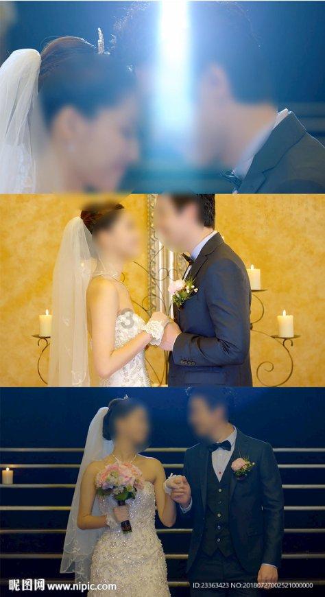 僵尸顶顶乐