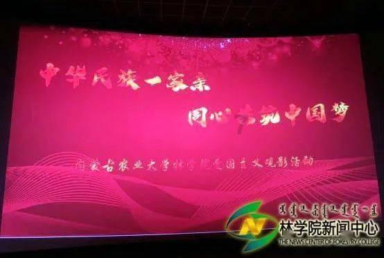 沙坡头区:老百姓春晚映红年味里的幸福生活