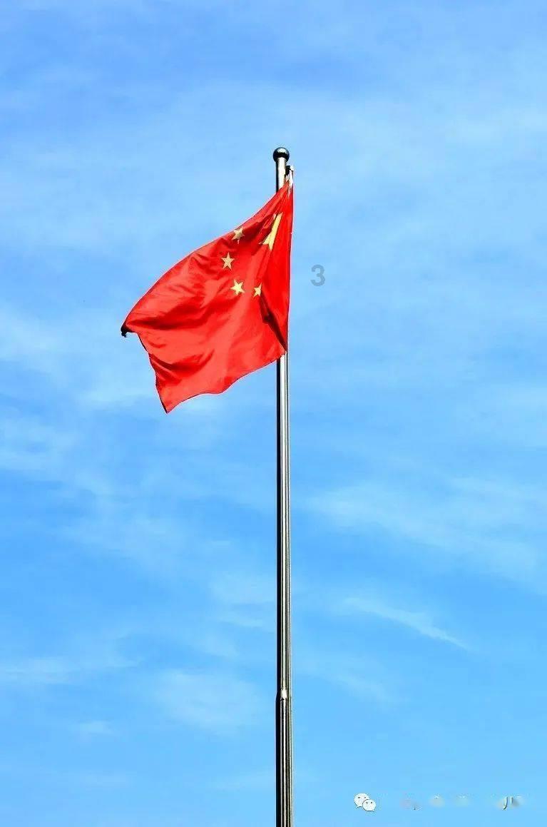 机智问答网页-智慧答案尽在爸爸和妈妈带孩子,都有什么区别呢?
