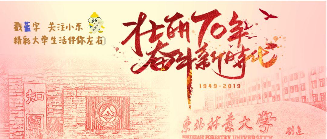 创作猫