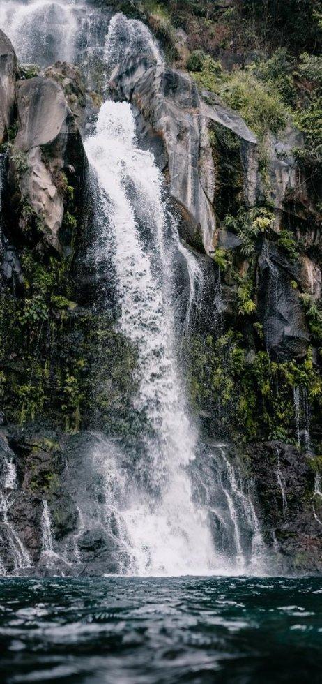 春雨直播app