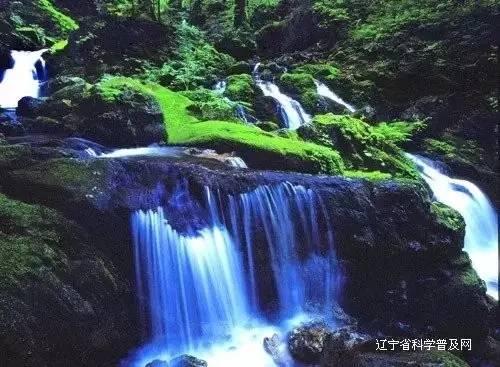 拯救小犀牛