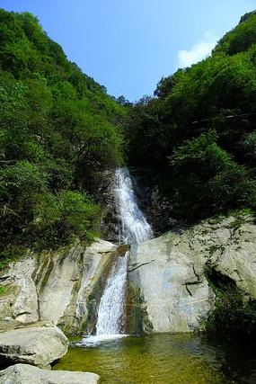 破碎的动物图形3