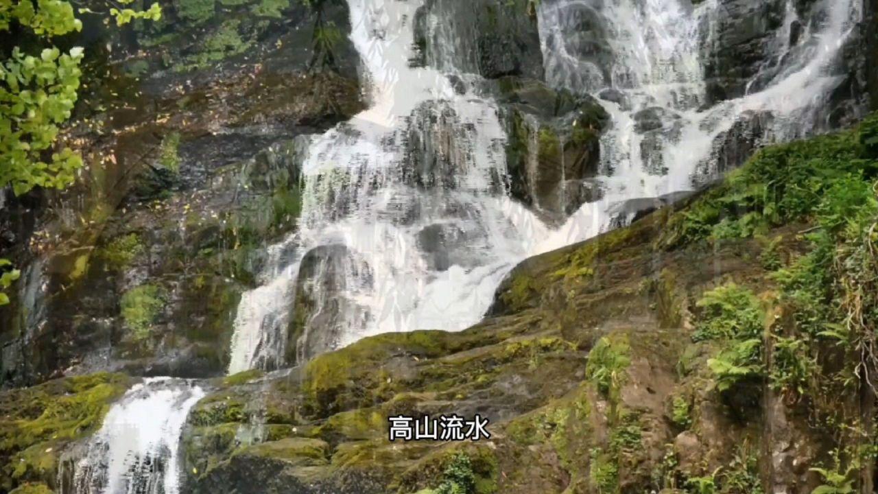 小猫钓鱼游戏龙王版有船