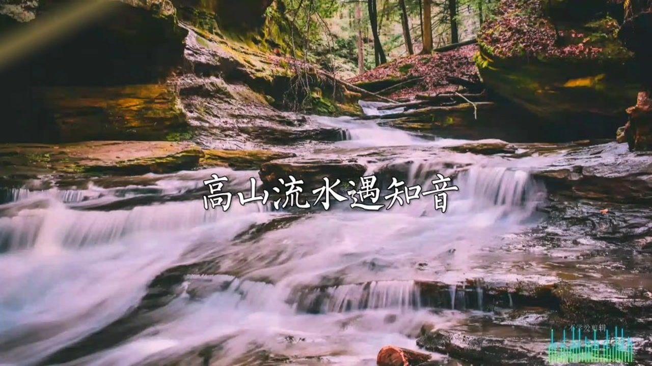 祸乱君心