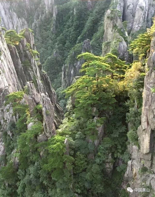 超能战区