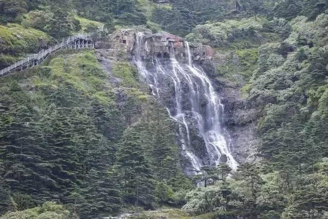 众神之宝
