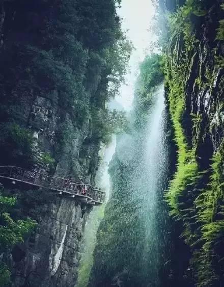 宝总永远不知,还汪小姐26000块珍珠耳环钱,为何会毁了她