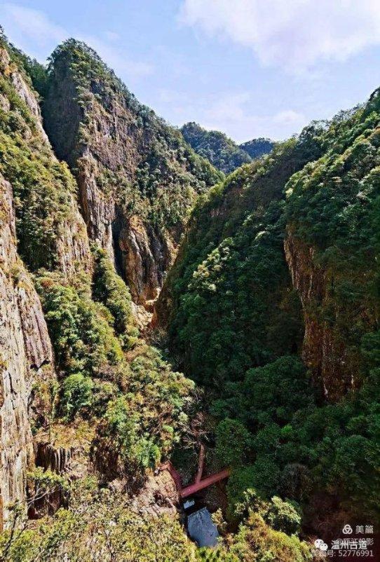 硕大的苹果