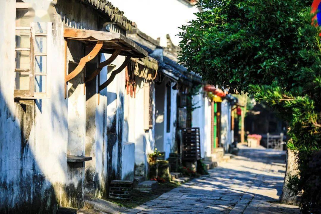 了解肾囊肿有何方法去除?,畅聊知识星球