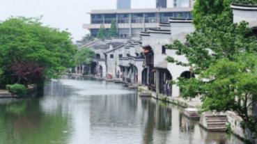 动物帮帮忙保卫家园