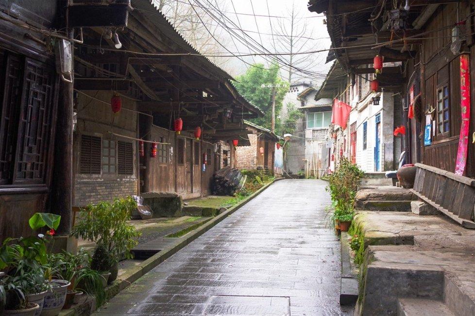 小猫钓鱼游戏龙王版有船