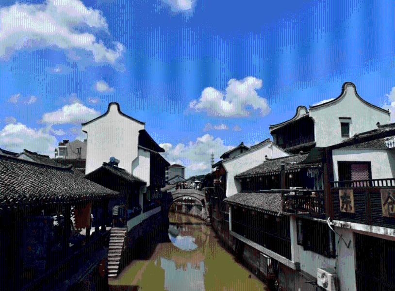 每只鸡都有了『身份证』